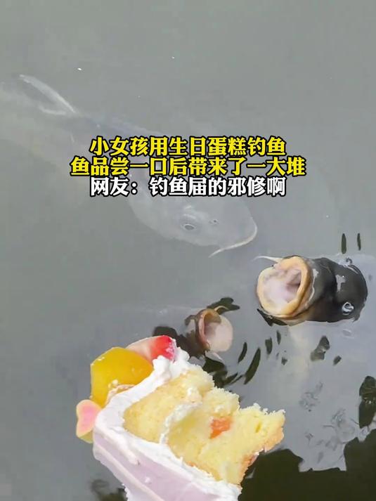 小女孩用生日蛋糕钓鱼，鱼品尝一口后带来了一大堆鱼