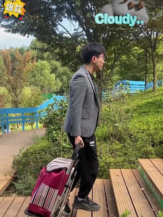 买菜新宠!这款小推车,轻松装下一周食材