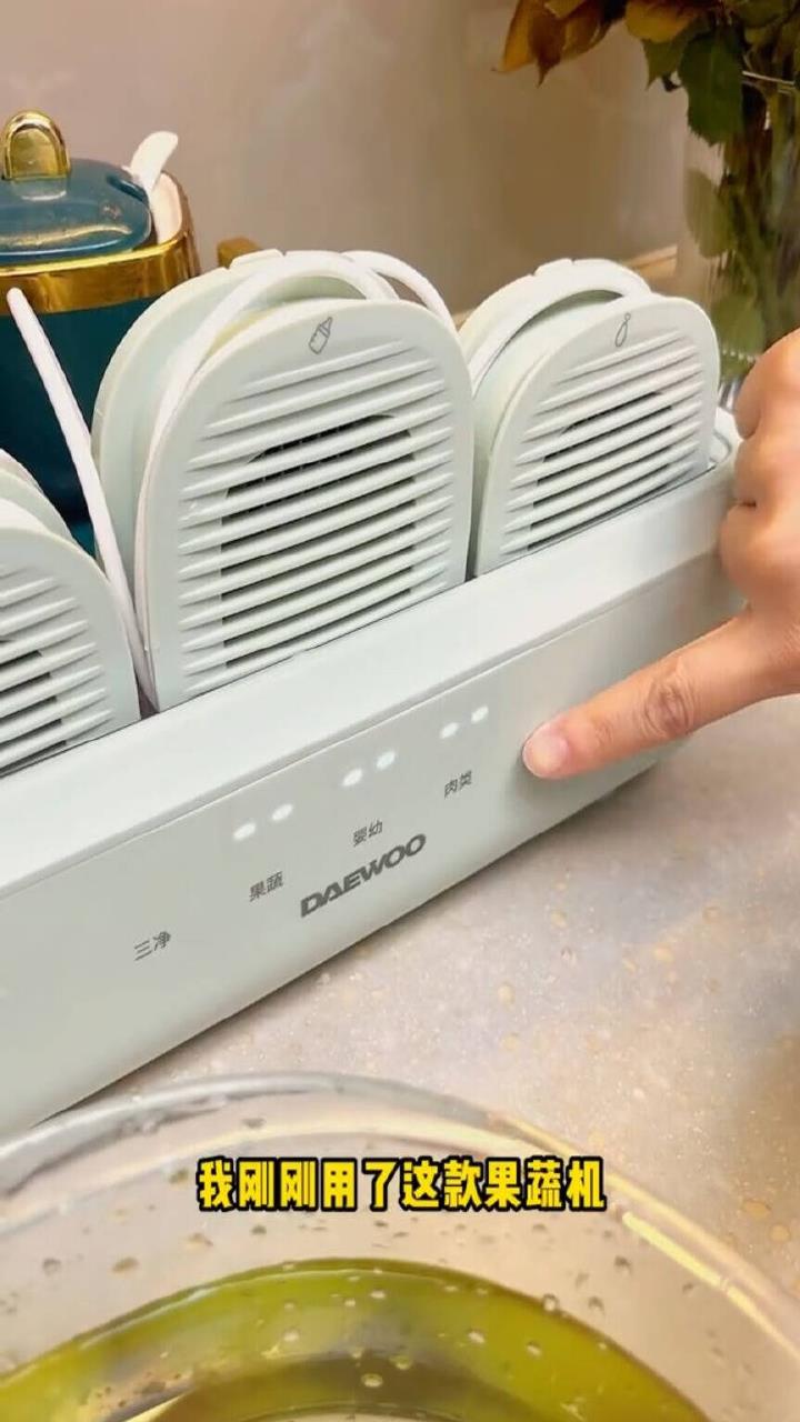 大宇(DAEWOO)三仓果蔬清洗机卫士家用全自动食材净化机器
