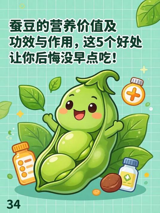 蚕豆的营养价值及功效与作用,这5个好处让你后悔没早点吃!