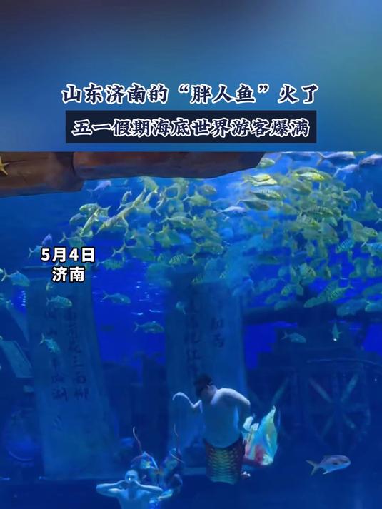 山东济南的“胖人鱼”火了五一假期海底世界游客爆满