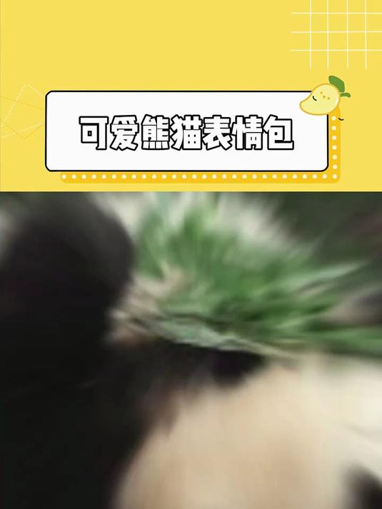 可爱熊猫表情包
