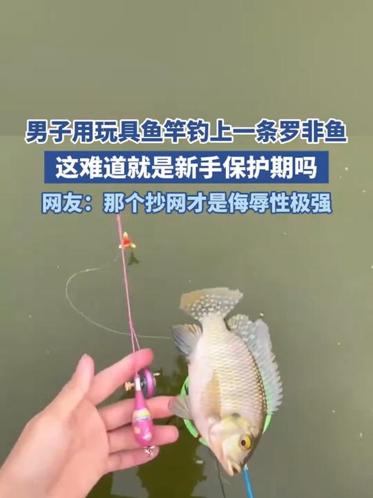 男子用玩具鱼竿钓上一条罗非鱼,这难道就是新手保护期吗