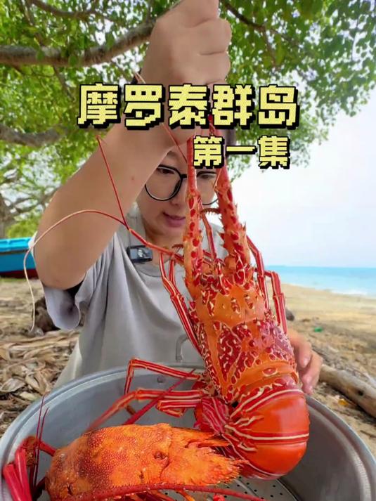 摩罗泰群岛生活 为了寻找大龙虾,来到了一个全新的岛屿!