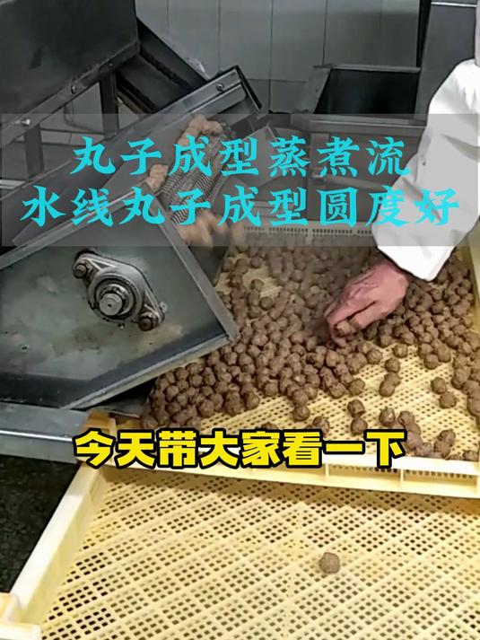 牛肉丸子蒸煮流水线 全自动肉丸成型蒸煮设备