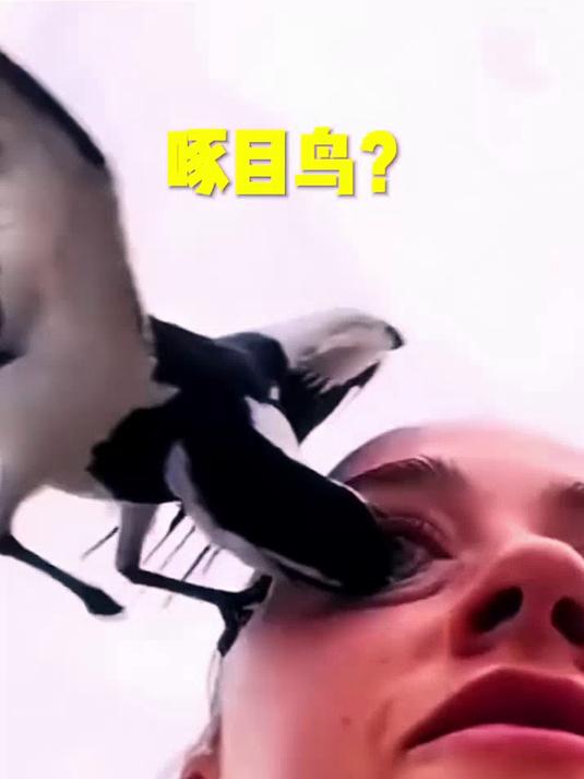 街边高热量网红小吃香气扑鼻_再三克制依旧打破坚持很久的减脂自律