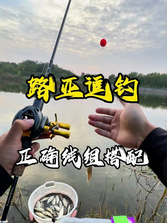 路亚逗钓鲫鱼 带上这款路亚逗钓鲫鱼打窝器,每天可以钓不少鲫鱼