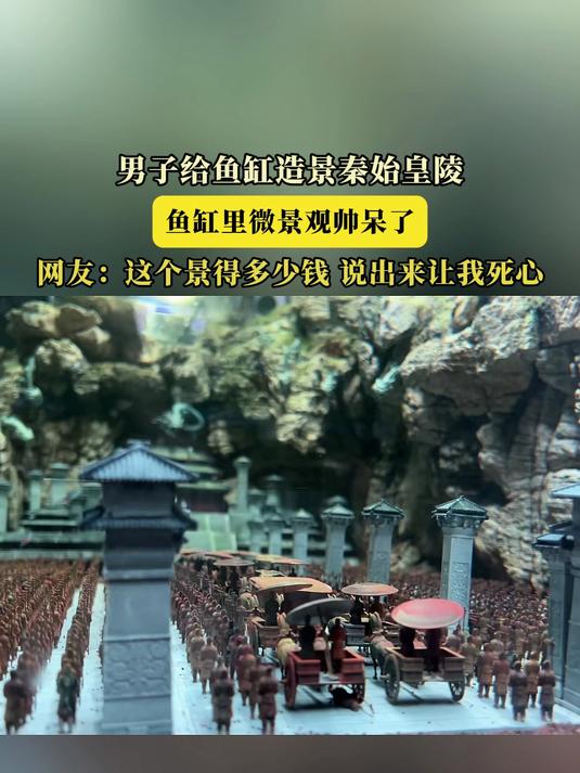 男子给鱼缸造景秦始皇陵,鱼缸里微景观帅呆了