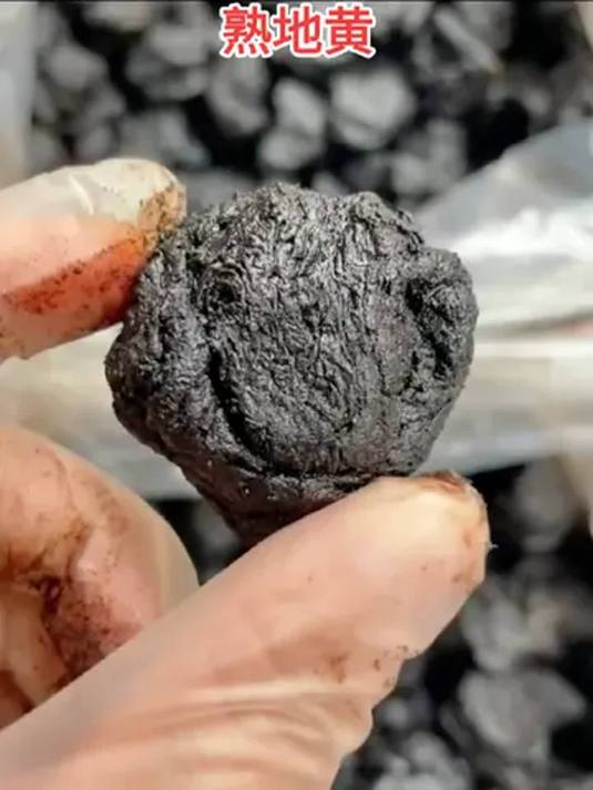 正宗河南焦作熟地黄 买一送一 无添加真材实料
