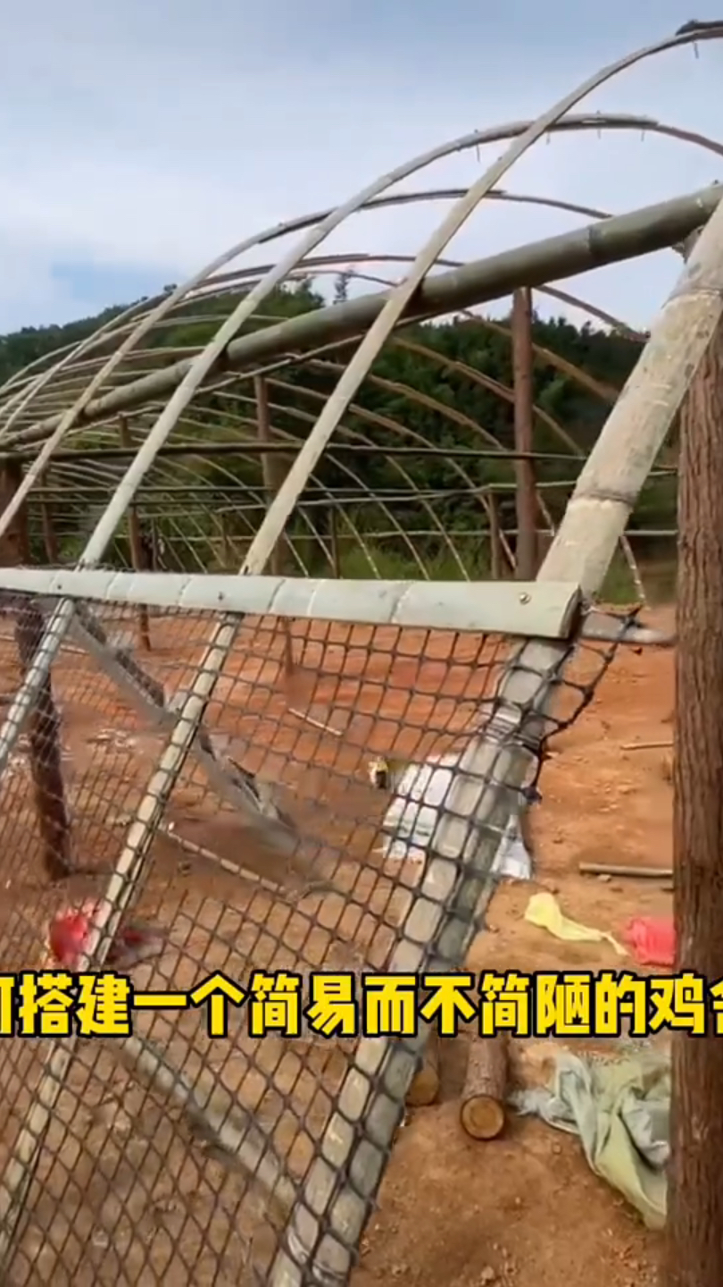 如何搭建一个简易而不简陋的鸡舍