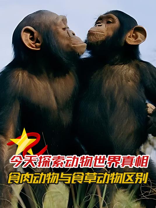 今天探索动物世界真相,食肉动物与食草动物的区别,涨知识了