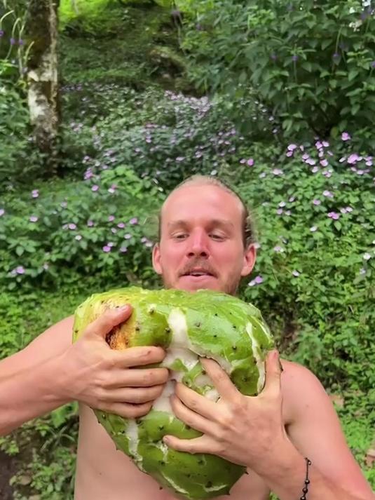 刺果番荔枝,一种软绵绵的水果!