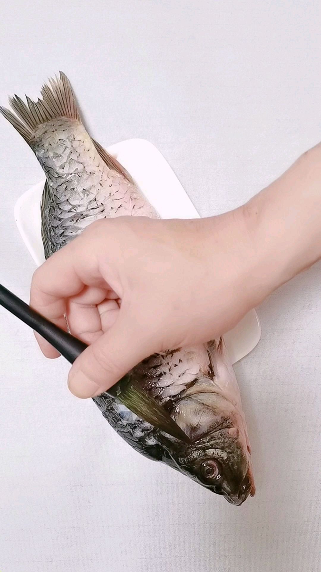 大鲤鱼画法演示