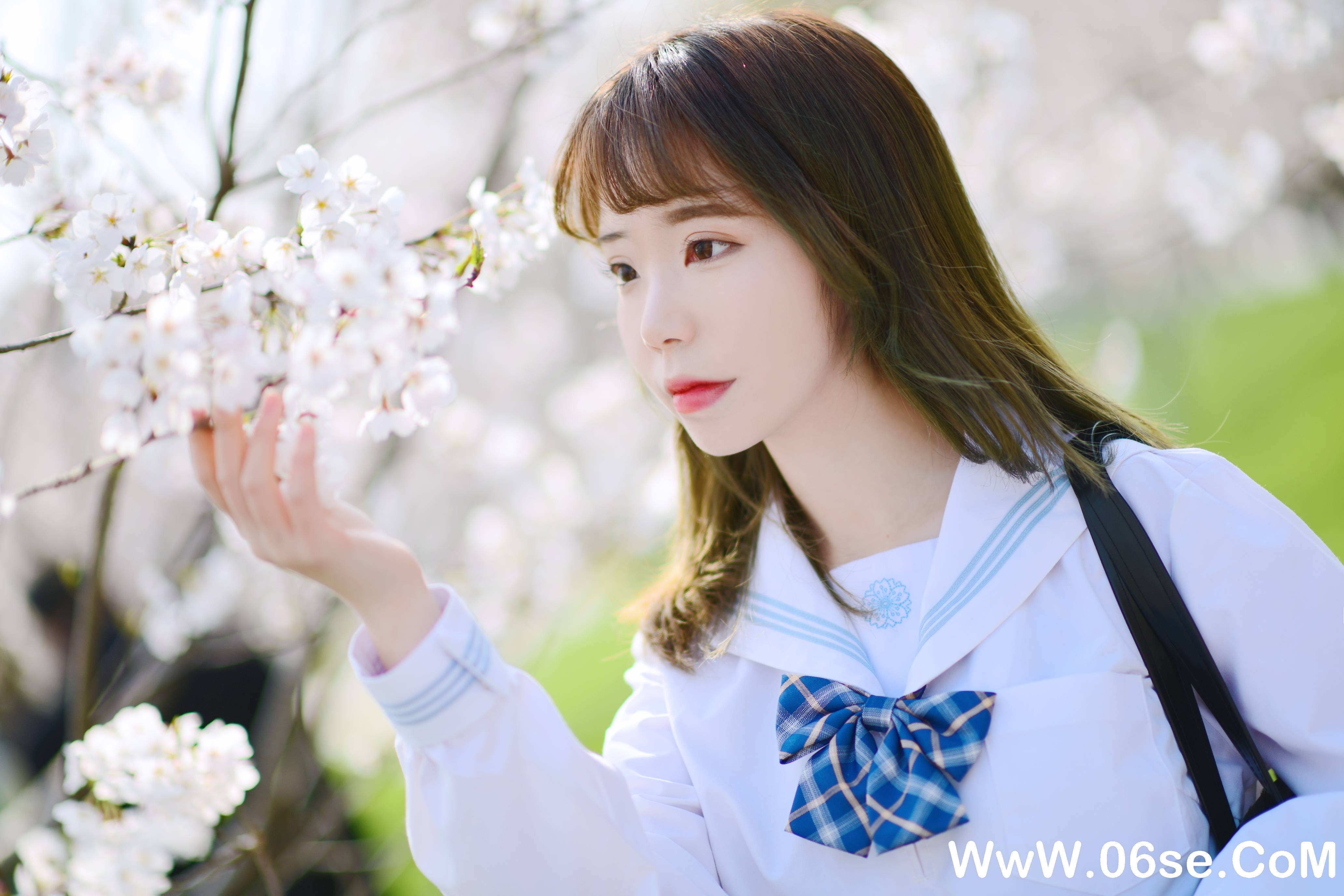 图片[14]-Fushii_海堂 NO.010 — 樱花树下[41P266M]-六色网