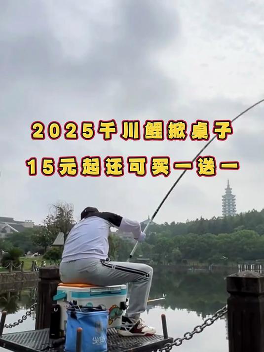 邓老师的新款鱼竿千川鲤鱼竿轻量综合竿 可钓鲫鱼鲤鱼草鱼！