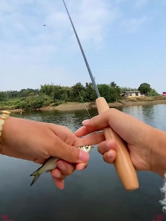 小钓竿够强悍！短小便携，上鱼超猛！