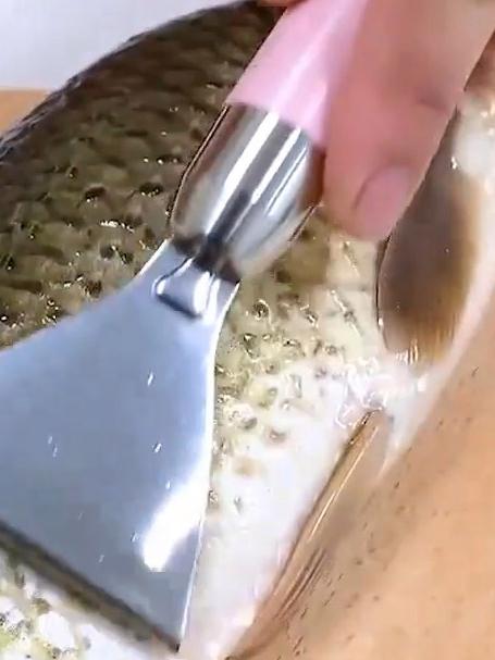 家人们,家用不锈钢鱼鳞工具来了,厨房款刮鱼鳞器,手动打鱼刀