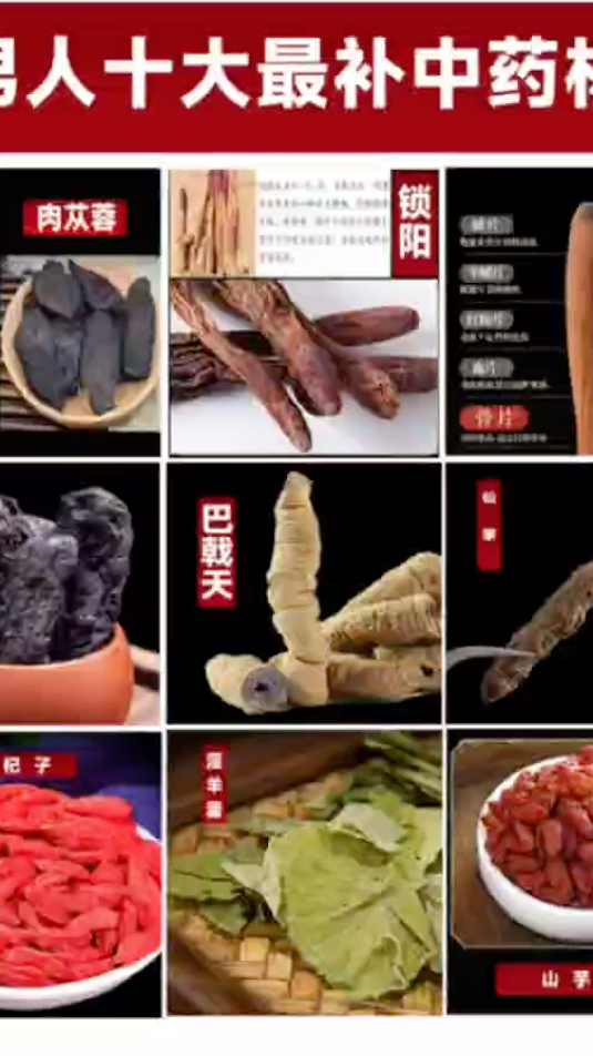男人十大最补中药材
