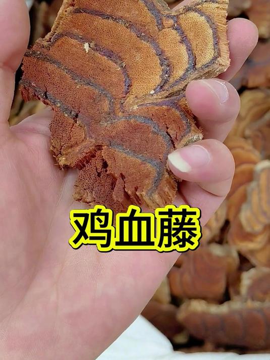 鸡血藤的独特之处，你知道吗，今天，带大家去康美中药城看鸡血藤