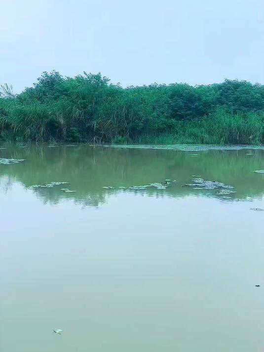 用卫星地图寻找身边的钓点