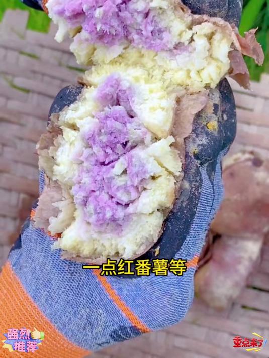 广东高州冰淇淋番薯该香的香该粉的粉粉糯香甜的口感你喜欢吃吗