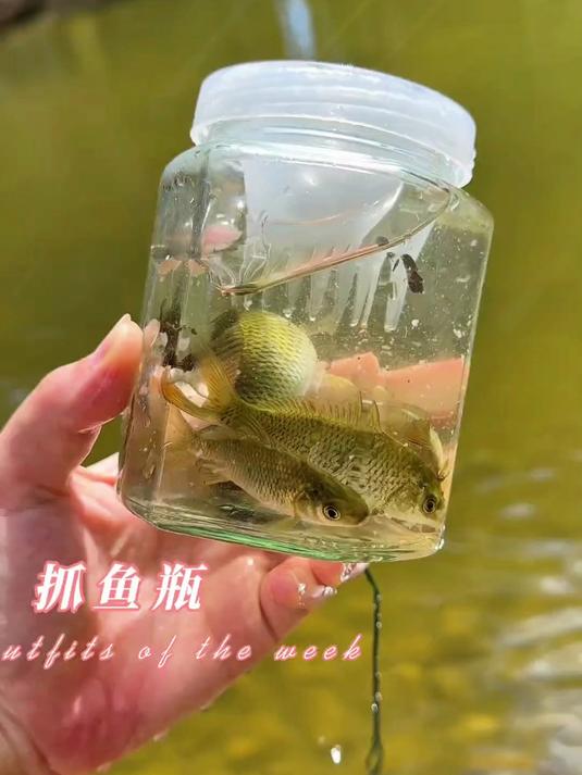 真的能抓到小鱼!快给娃安排亲子户外抓鱼瓶,一起体验抓鱼的快乐