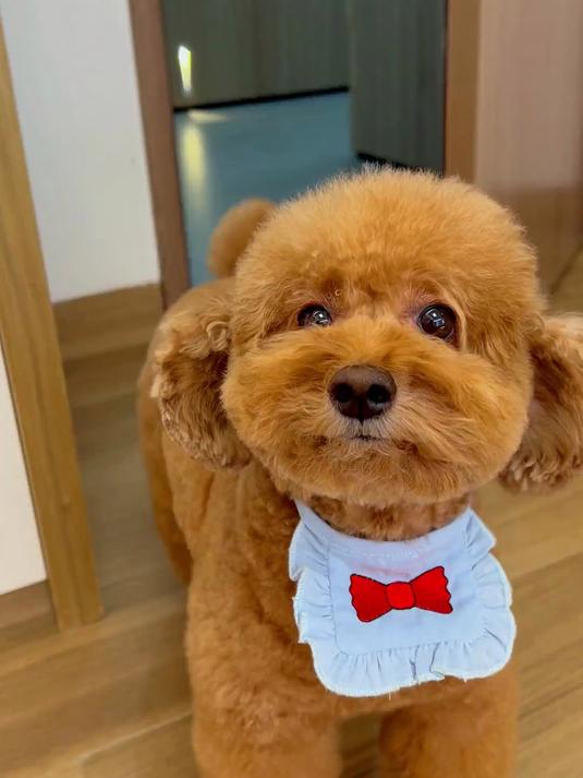 今天早餐吃全鱼宴