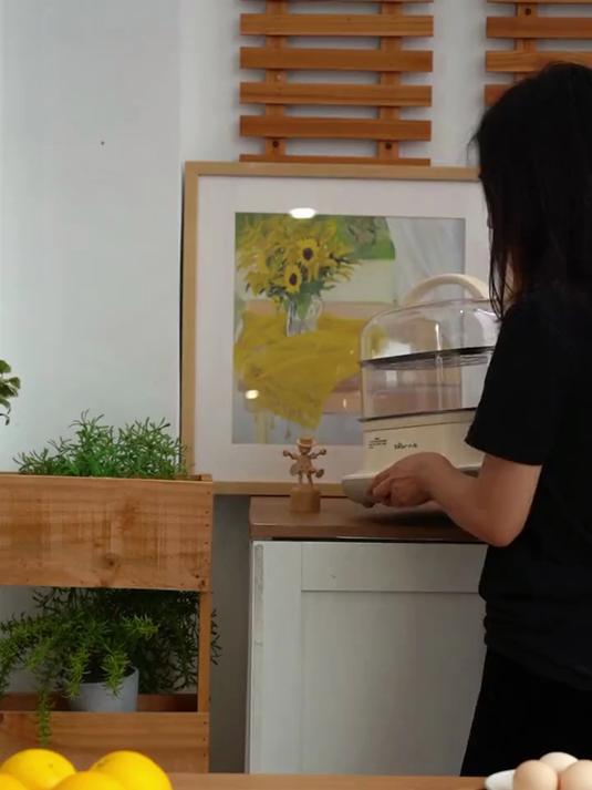 家用多功能电蒸锅