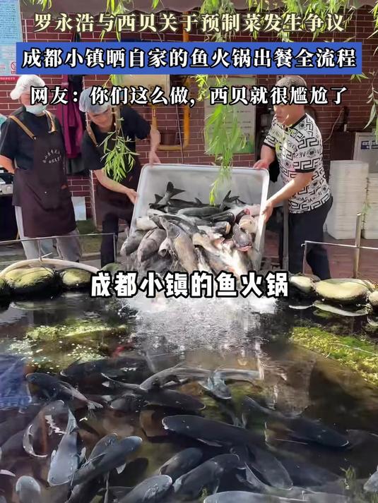 成都小镇晒自家鱼火锅出餐全流程 网友:你们这么,西贝就尴尬了