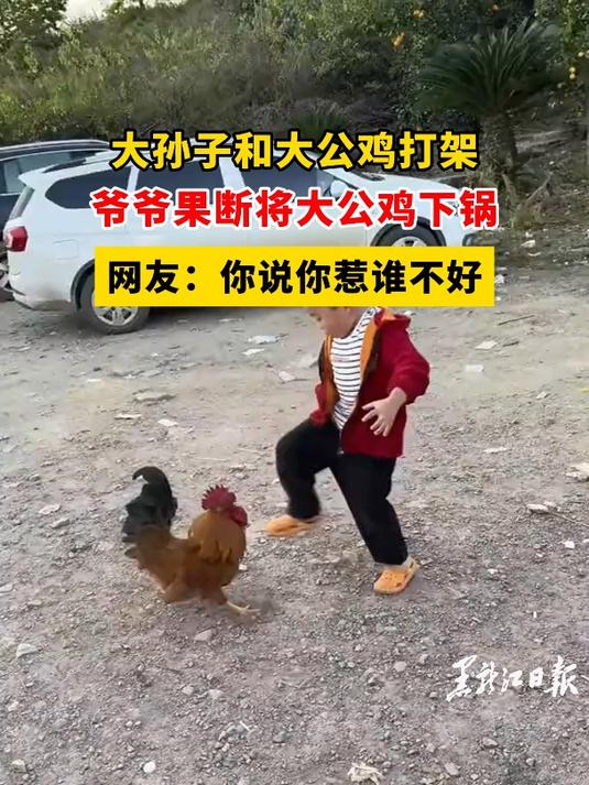 大孙子和大公鸡打架,爷爷果断将大公鸡下锅,网友:你说你惹谁不好