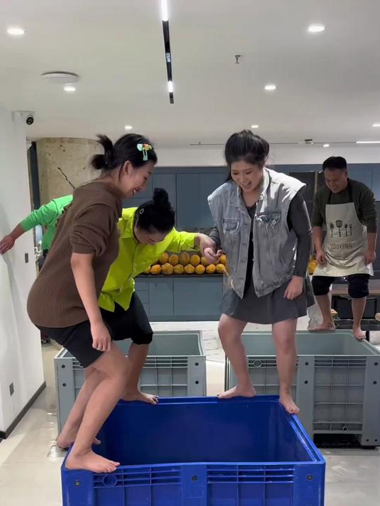 2000斤榴莲还原千年传统足压葡萄酒