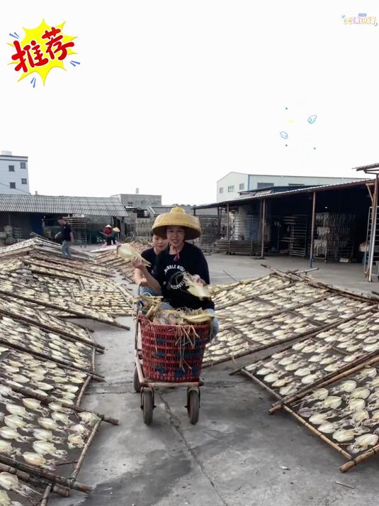 墨鱼干产地有很多但只有东海产的才好吃东海墨鱼干干度高鲜味足