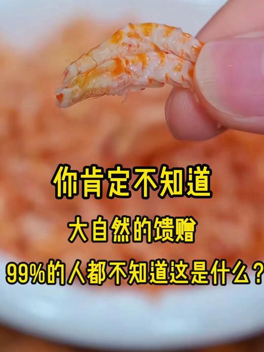 深海来的“黄金虾”!磷虾的鲜美吃过就忘不掉