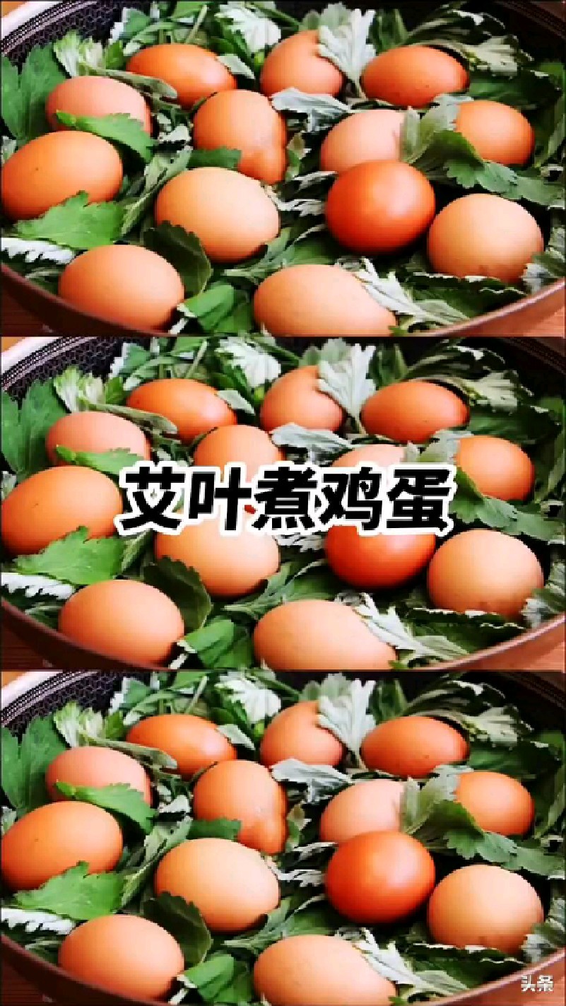 端午节快到了用艾叶煮鸡蛋非常好吃,对身体非常有好处!