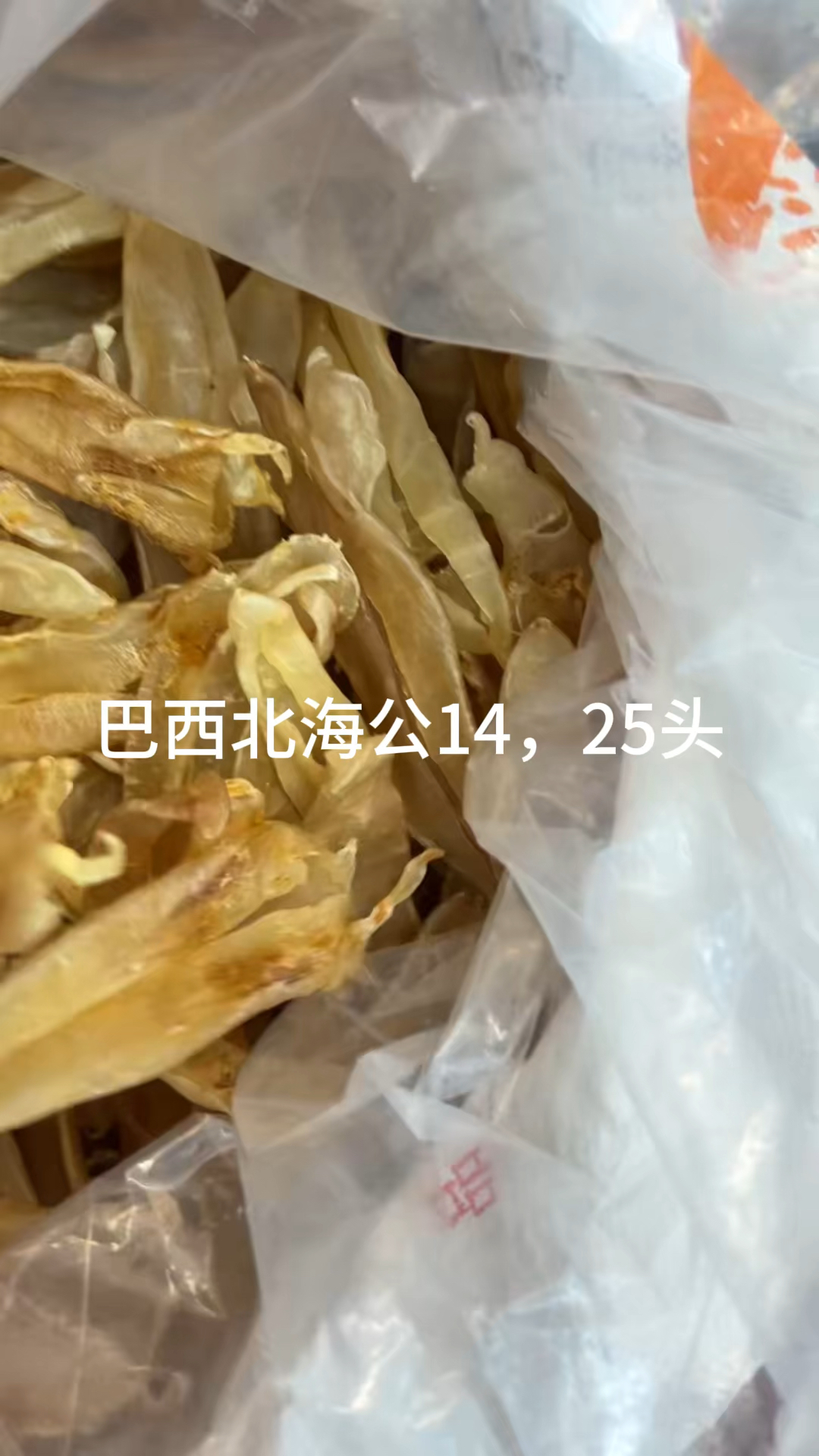 巴西北海公,本港赤嘴条,小竹叶,双背,红鱼凤尾胶,佐罗条!