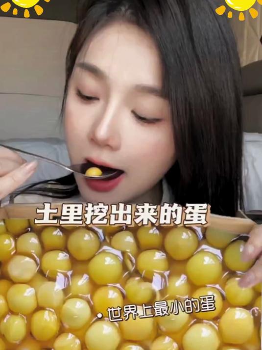 甲鱼场地现扒新鲜甲鱼蛋!可食用甲鱼蛋!