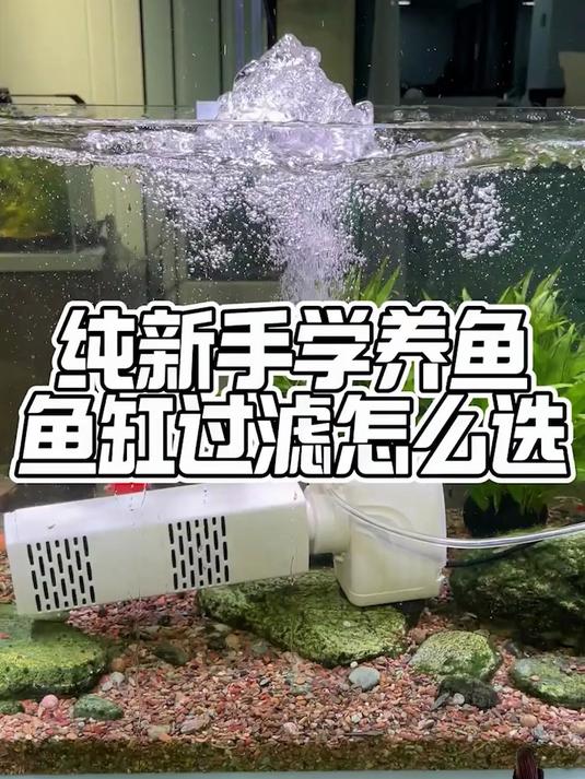 家里过滤不给力 可以放一个多功能内置过滤器加强鱼缸的过滤效果