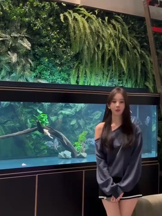 龙鱼配鱼碎碎念,带牙套了说话大舌头,今天给大家分享一下