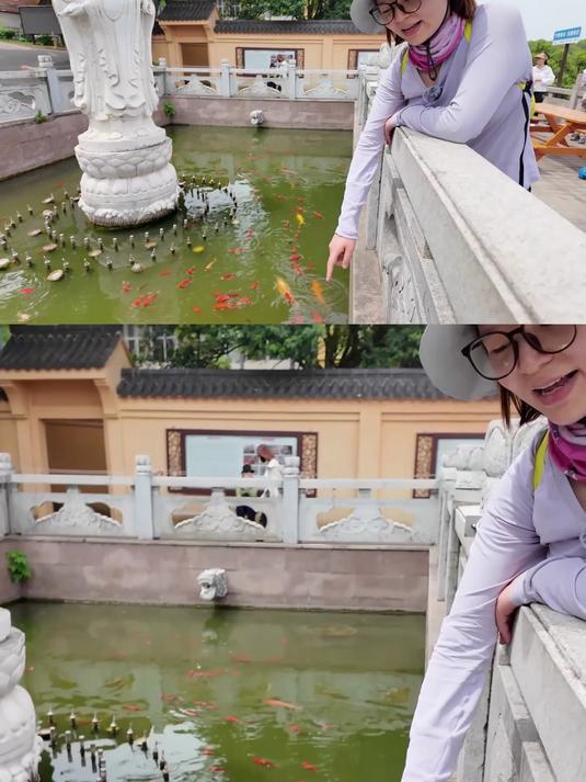 景区的鱼都成精了,就差不会说话