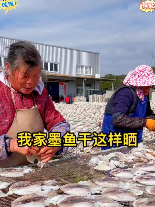 无添加淡干墨鱼,泡发简单不费劲,炖排骨煮冬瓜
