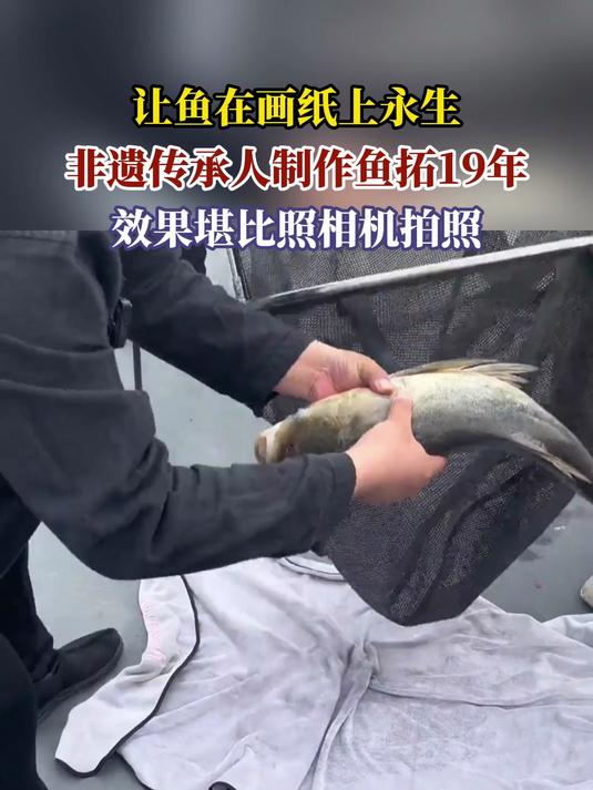 让鱼在画纸上永生,非遗传承人制作鱼拓19年,效果堪比照相机拍照