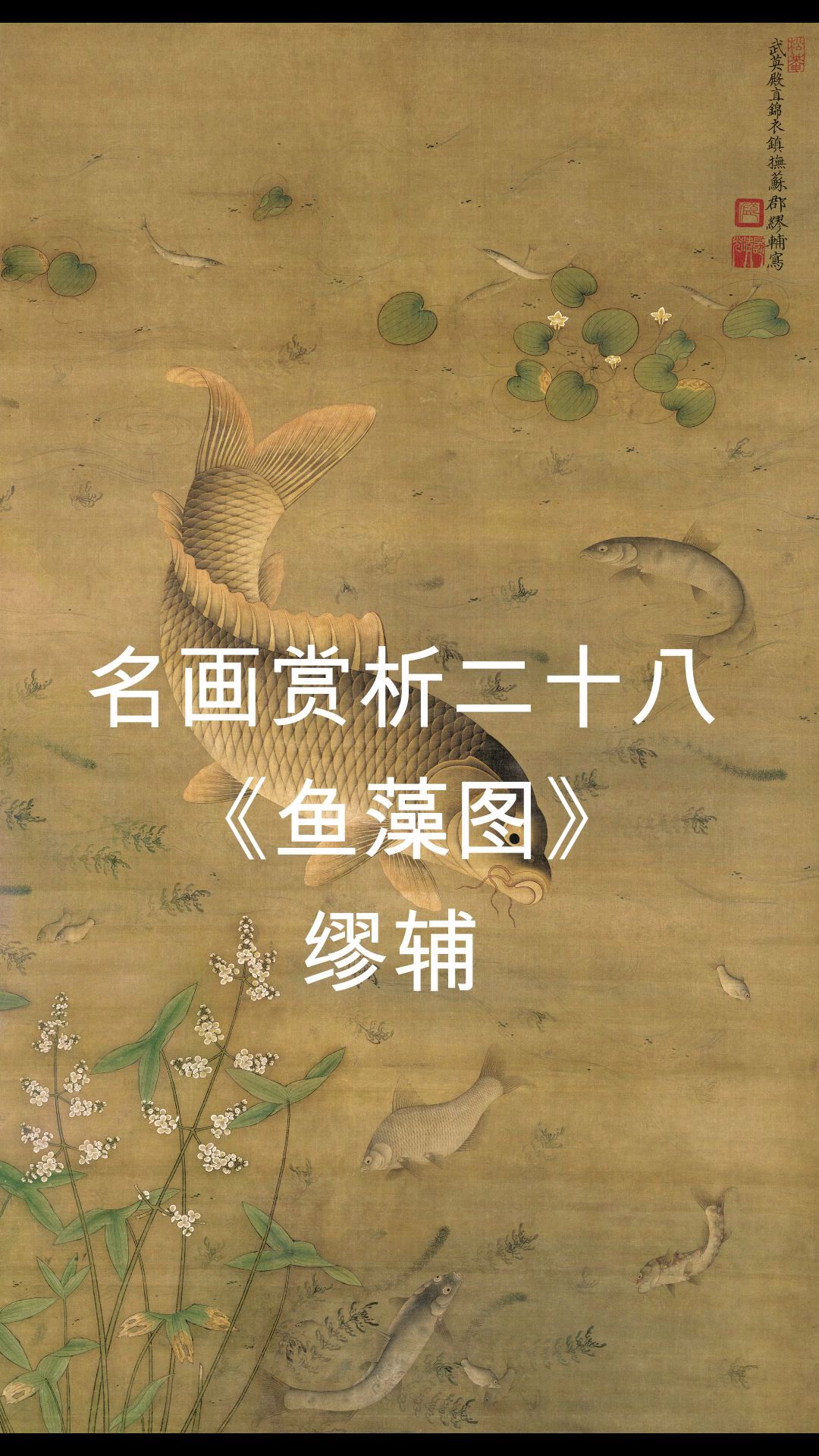 小小鱼儿水中游