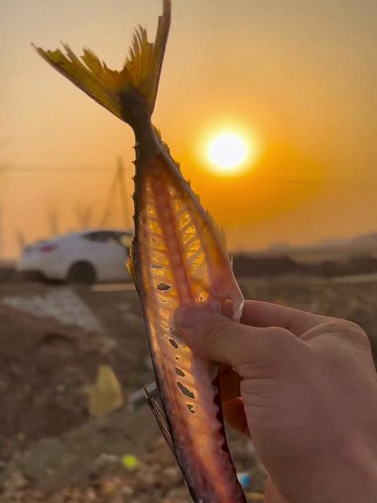 在河边觅食居然发现了一条活蹦乱跳的小死鱼，处理了一番太美味了
