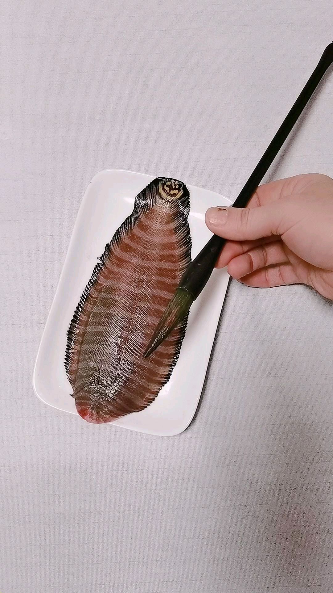 我们来画舌头鱼