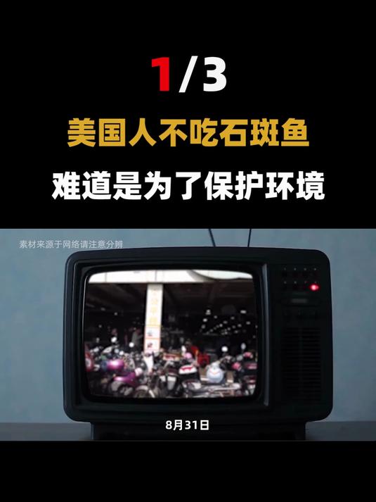 一斤135元!广东捕到280斤巨鱼需要两人抬着走,这鱼是什么品种?