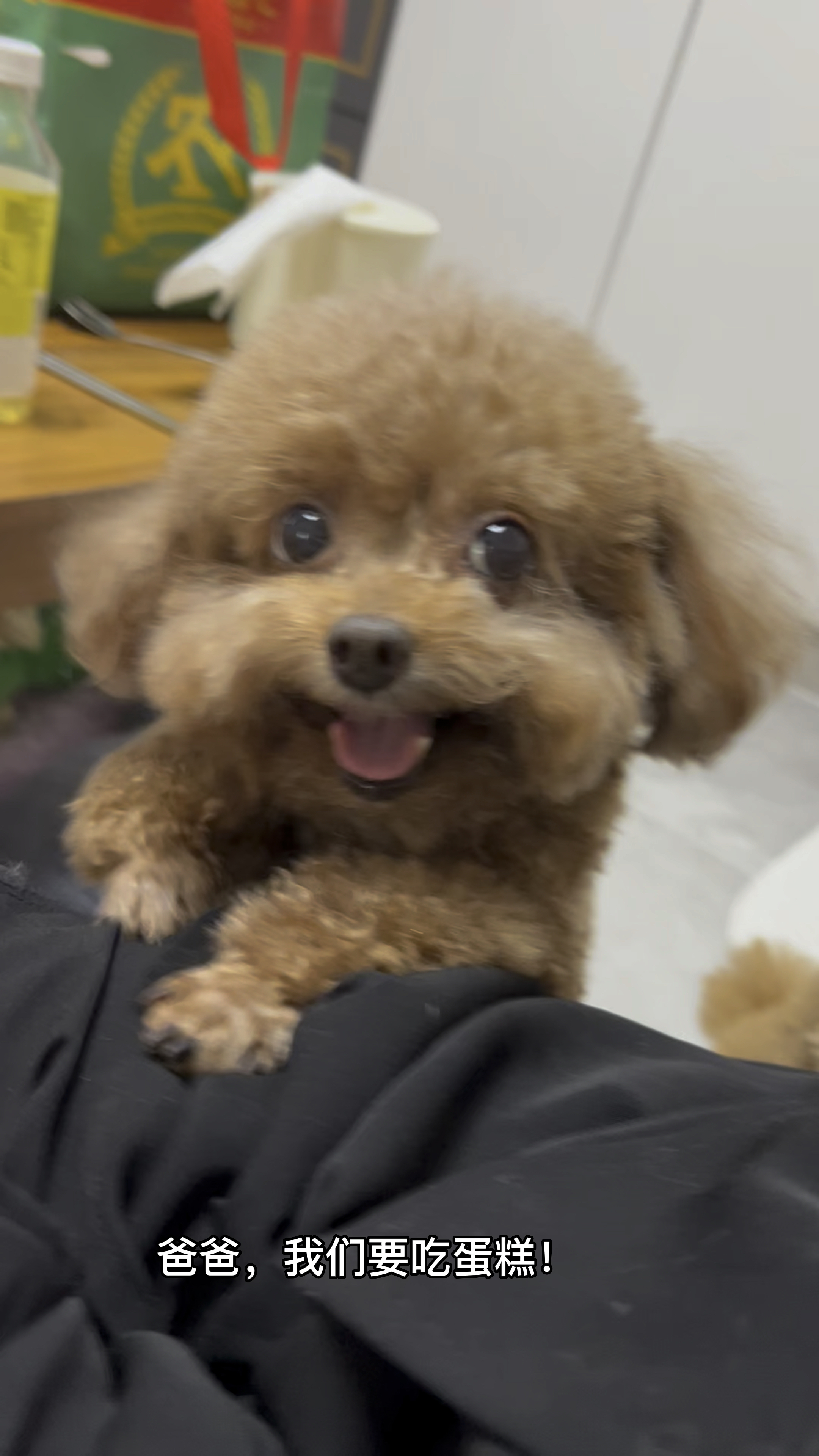 狗狗蛋糕DIY
