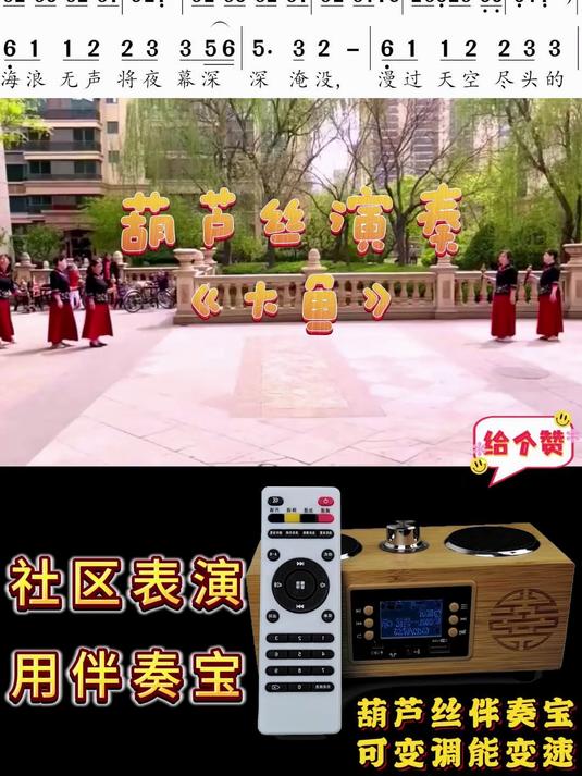 胡芦丝演奏金曲《大鱼》动态伴奏有声简谱