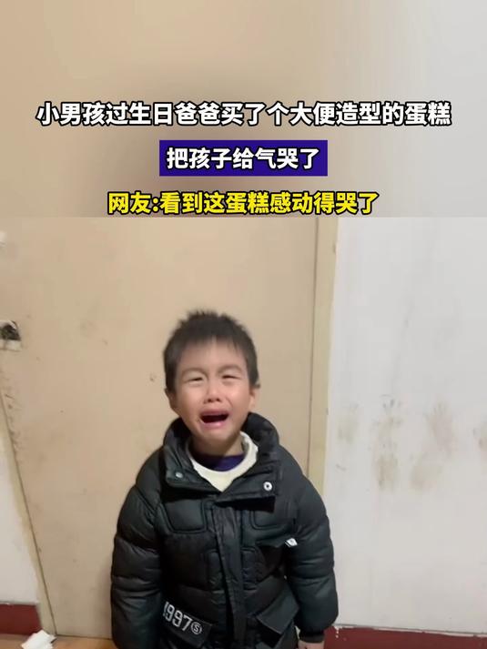 小男孩过生日爸爸买了个大便造型的蛋糕,把孩子给气哭了