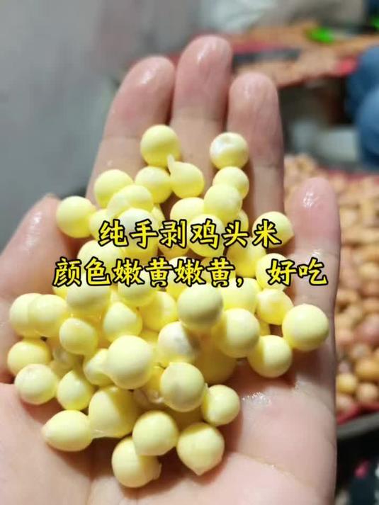纯手剥鸡头米嫩黄嫩黄的非常好吃,苏州本地芡农直发