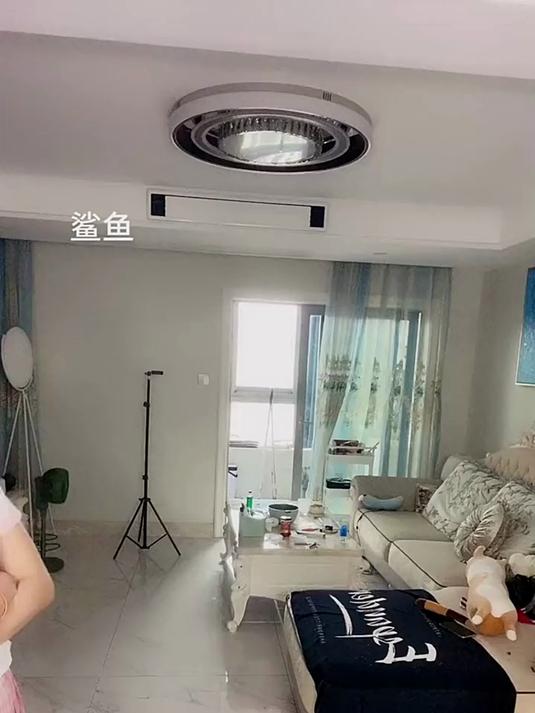 这样的鲨鱼确定可以吃掉大嘴鱼吗?